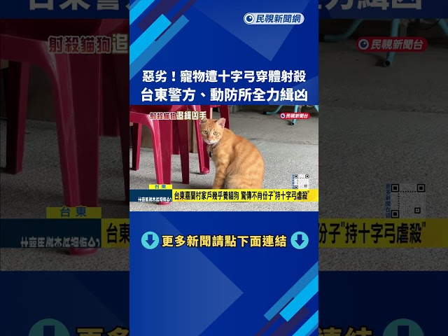 冷血! 台東嘉蘭村貓犬"遭十字弓穿體" 警方全力緝凶－民視新聞