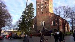 Turun Tuomiokirkon Joulukuusi 2013 - Wide Transportation, The Turku Cathedral Christmas Tree