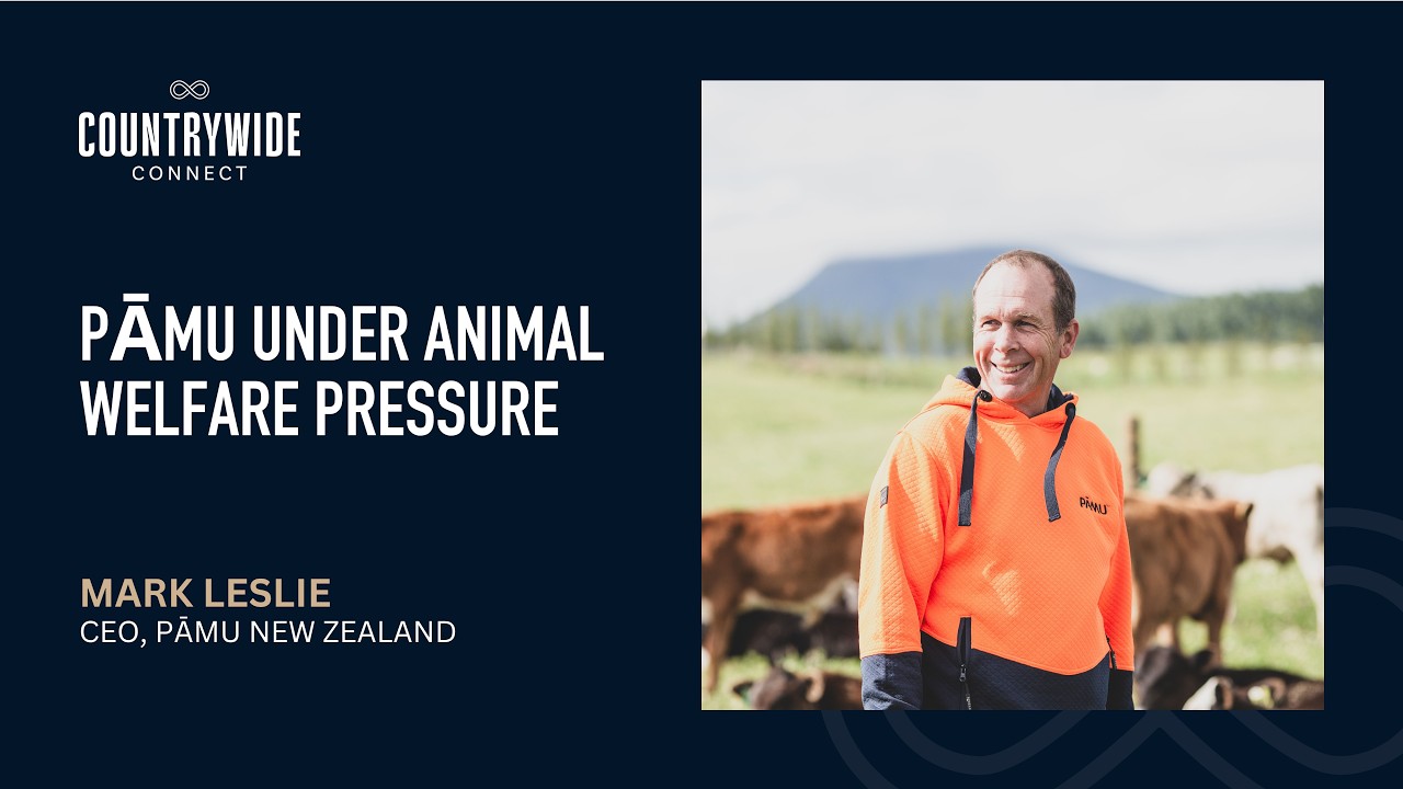 Pāmu Under Animal Welfare Pressure // Mark Leslie, CEO, Pāmu New Zealand