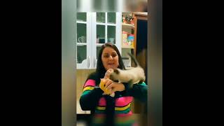 Try not to laugh Cat fails | funny animal videos | Epic cat Fails | cats funny videos