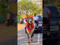 50 லட்சம் 😨காரில்💯போன வராத தோரணை 💥🦁// #jallikattu #kangeyam #cow #bull #cowpalace #viral #trending