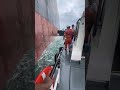 Pilot vs Waves
