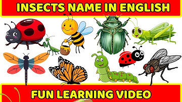 Learn Insects Name in English | Bugs & Insects for Kids | English Vocabulary Learning Video