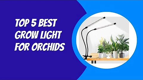 TOP 5 BEST GROW LIGHT FOR ORCHIDS 2023