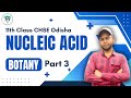 Nucleic Acid | Part 3 | Class 11 Botany | CHSE Odisha | MatSci Odia
