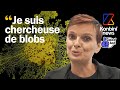 Le blob cette crature de forts fascinante et intelligente  reportage