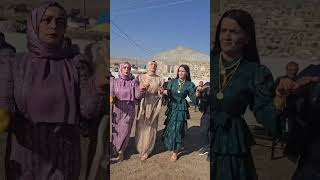#kurdishdance #halay #düğün #halaymashup #fypシ゚viral #bestkurdishdancemusic #keşfetteyiz #music #fy