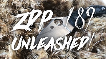 ZDP 189 Unleashed: Edge Retention Testing Spyderco Dragonfly 2