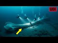 Водолазы нашли гигантскую кость на дне океана, находка меняет всю мировую историю...