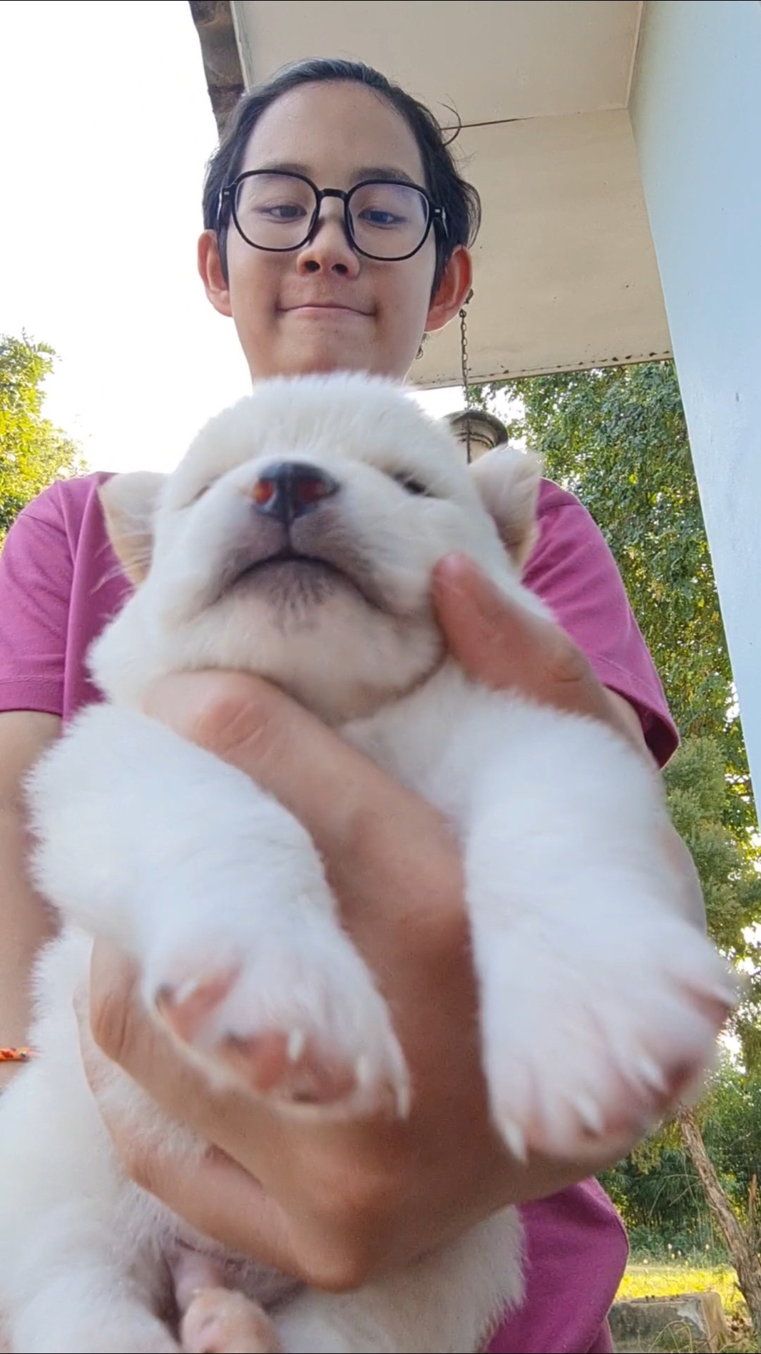 Kind Boy‼️ and Very Too Cute Puppy❤️? | JJaiPan #Shorts #funnydog