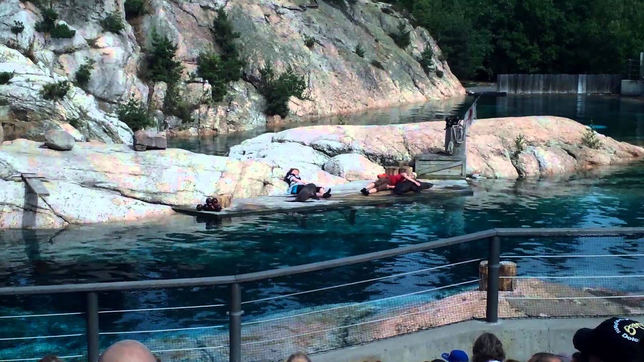 Sälshow Kolmården 2014-07-12