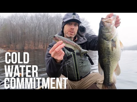 Big Swimbaits in Winter || 8" Real Prey Silicon Trout = 1 Right Bite