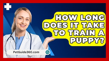 How Long Does It Take to Train a Puppy? - PetGuide360.com