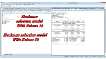 Heckman selection model With Eviews 13