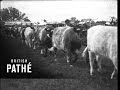 Dominion agriculture show in new zealand 19201929