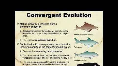 AP Bio topic 7.6 Evidence of Evolution