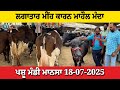 à à à à à à à à à à à à à à à à à à Œà à à à à à ªà à à à à à à à à à à à 18 07 2025 Pashu Mandi Mansa à à à à à à à à à à à à à à à à à à Œà à à à à à ªà à à à à à à à à à à à 18 07 2025 Pashu Mandi Mansa