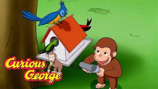 George Feeds The Birds Curious George Kids Cartoon Kids Movies
