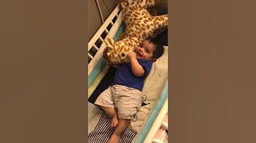 وليدي فستق حلبي 