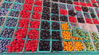 Tourist's Fall Stroll Through The Mercado Farmers Market in Little Italy San Diego ❤️