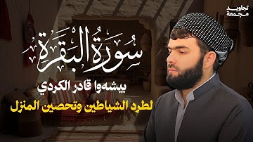 تلاوة مباركة لسورة البقرة من القارئ الشيخ بيشةوا الكردي | تجاويد مجمعة