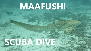 Maafushi Scuba Dive