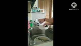 PERFORMANCE TASK 1: Clean and Sanitize your Kitchen at Home
