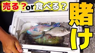【飢餓寸前】どうする!?「魚売って船代に」or「食べる」【座間味遠征#8】