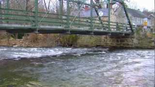 Finesville Dam Removal