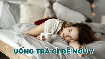 Uống Trà gì dễ ngủ? 6 Loại Trà giúp bạn ngon giấc mỗi đêm - Kênh Hướng Dẫn