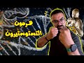 الرجولة في خطر علاش كاينقص هرمون القوة والهيبة التستوسترون الرجولة في خطر علاش كاينقص هرمون القوة والهيبة التستوسترون