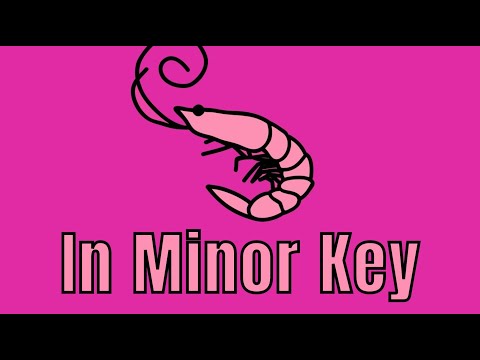 flamingo-but-its-in-minor-key
