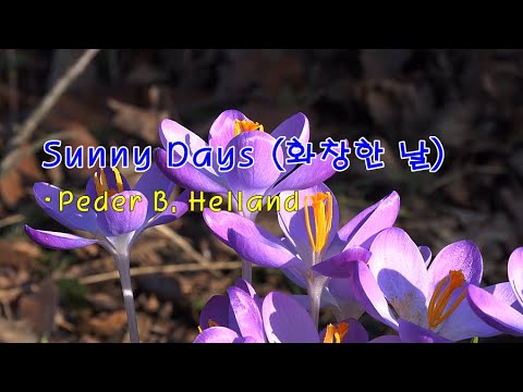 [Sunny Mornings 음반 중] Sunny Days (화창한 날) / <strong>Peder</strong> B. Helland