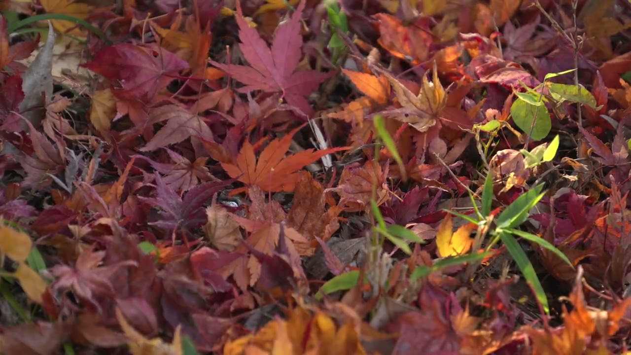 柳生にて