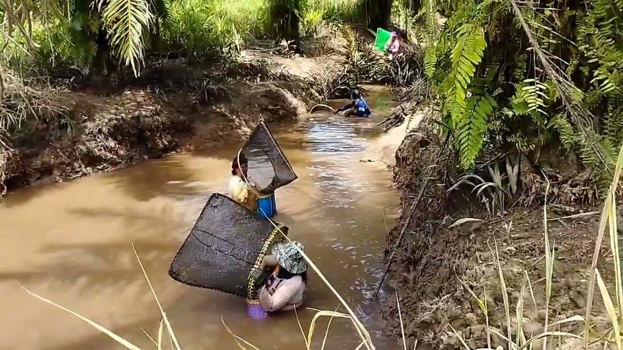 Musim kemarau//Mansai ikan Inpun//Boleh Tahan Hasilnya