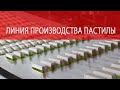 Линия производства пастилы Акмалько Инжиниринг