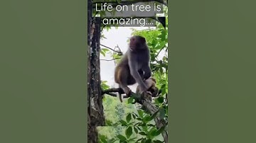 Jordan Matter daughter goes wild Africa