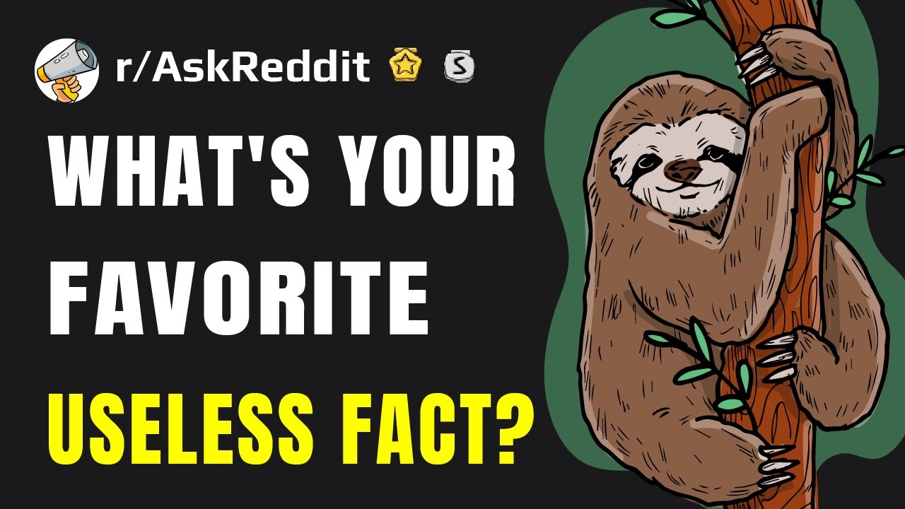 Useless facts you need to know! (Reddit r/AskReddit) - YouTube