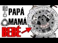 Esto Ocurre Cuando los Pistones y los Rotativos Tienen Hijos - Explicación del motor Birotativo
