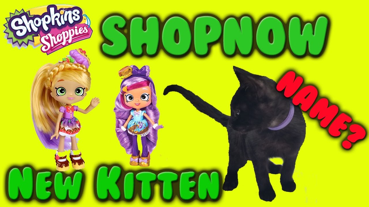 Shopkin gets a new kitten with Shopkins Shoppies Kirstea