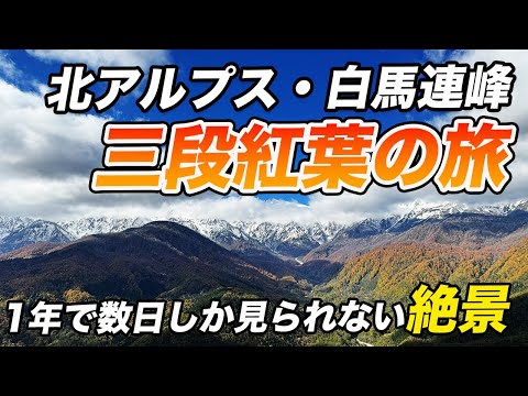 ななともch 旅行【Nanatomo Travel】 - YouTube