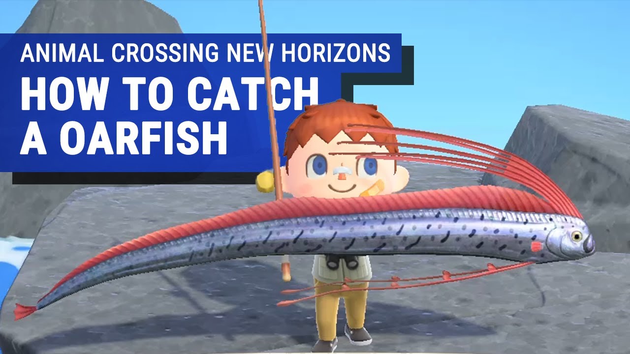 Scallop Times and How To Catch  Animal Crossing: New Horizons