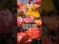 Dua With Allah S Greatest Name Dua With Allah S Greatest Name