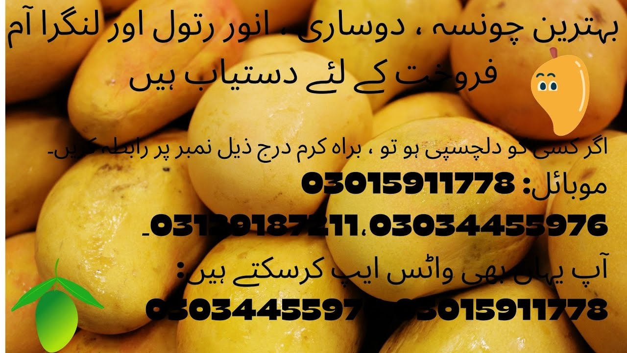 MANGOES CHEAPEST RATE PER AVAILABLE HEIN YouTube