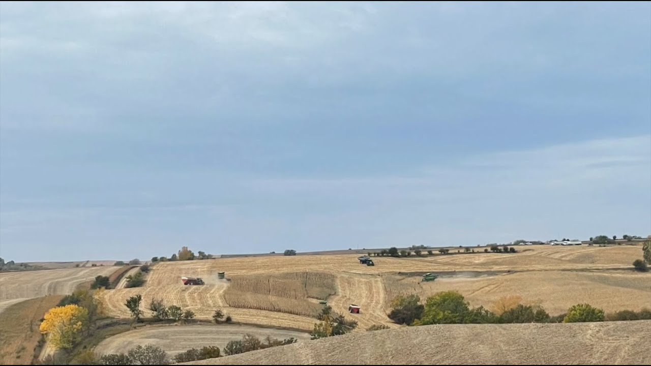 USDA Crop Progress report: Corn harvest coming to a close | Successful Farming