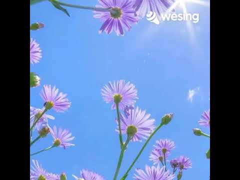 一生何求