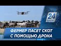 Жамбылский фермер пасет скот с помощью дрона