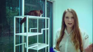 3 Plus Your Pets- Humane Educational Society
