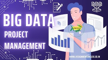 Big Data Project Management I Assignment on Click