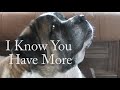 GIANT SAINT BERNARD Get&#39;s A Treat, Watch What HAPPENS! 225 lb DOG